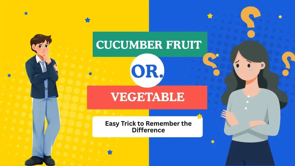cucumber fruit or vegetable