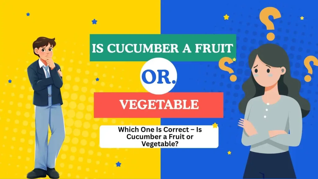 is cucumber a fruit or vegetable