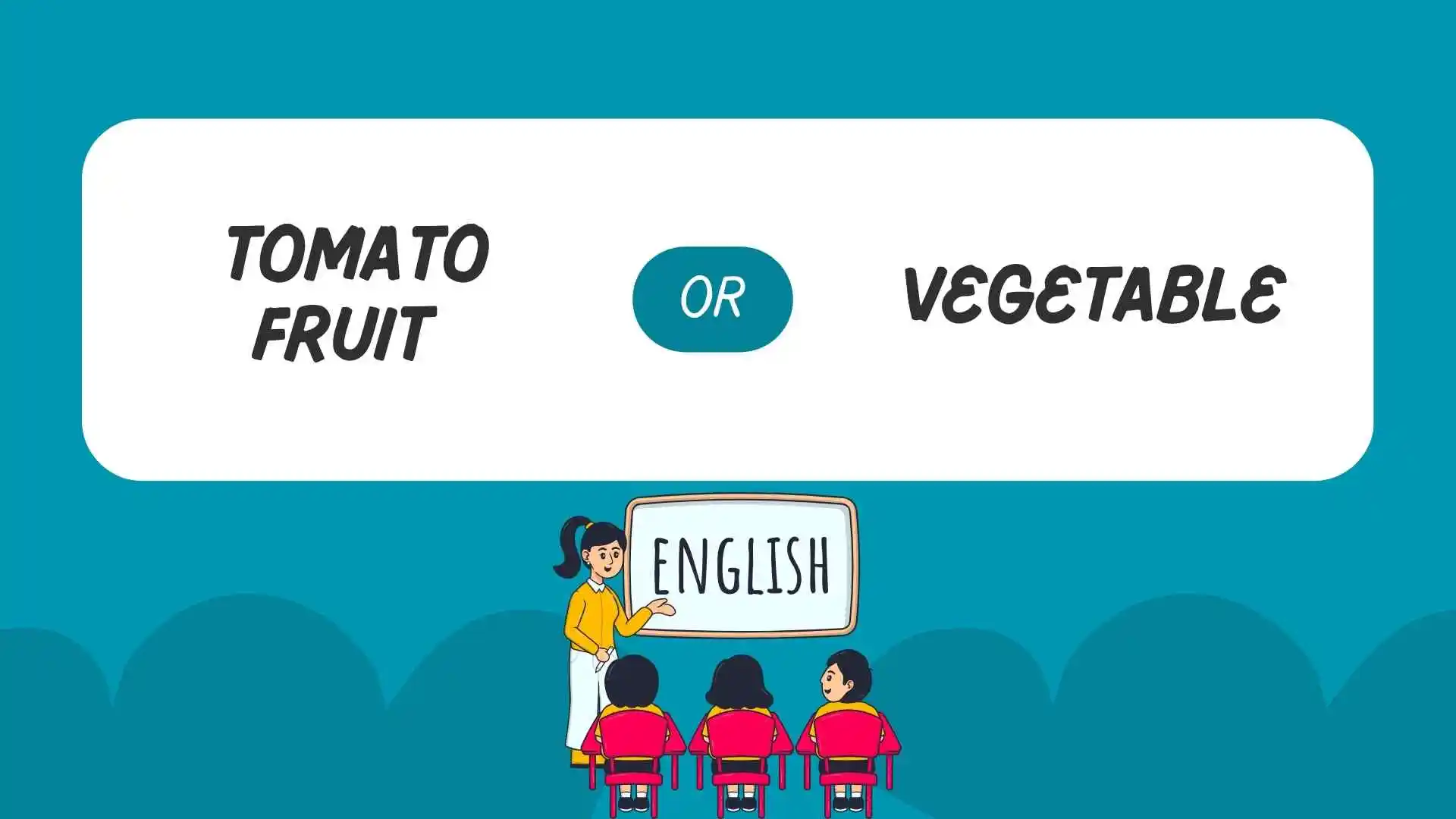 tomato fruit or vegetable