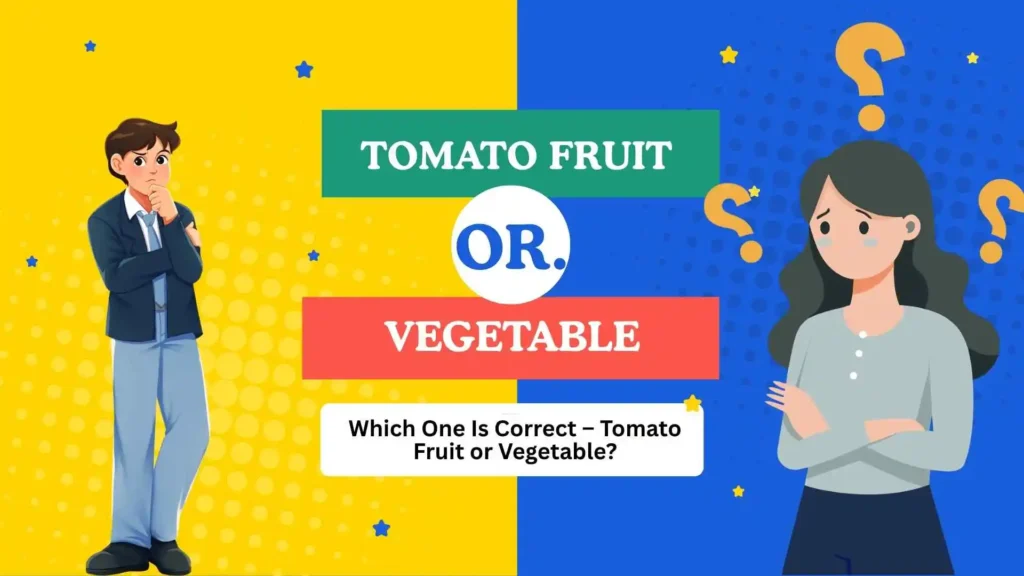 tomato fruit or vegetable