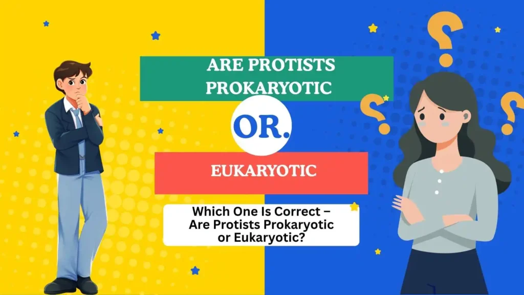 are protists prokaryotic or eukaryotic