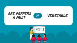 are peppers a fruit or vegetable