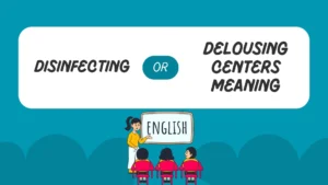disinfecting or delousing centers meaning