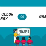 the color gray or grey