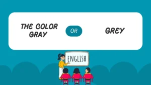 the color gray or grey