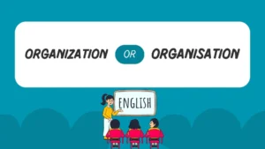 organization or organisation